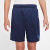Nike DF HBR Shorts
