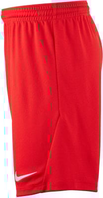 Nike Park III Trainingsshorts