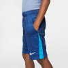 Nike Dri-FIT Vent fiú rövidnadrág