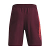 Under Armour Woven Graphic Shorts
