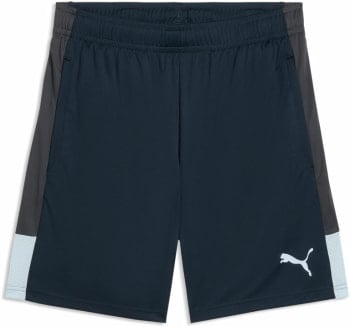 Puma IndividualLIGA Short