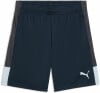Puma IndividualLIGA Short