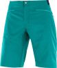 Salomon Outspeed Short M férfi rövidnadrág