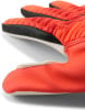 Puma Future Match NC Torwarthandschuhe