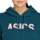 Coloblock OTH Hoodie