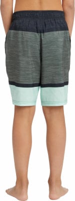 Firefly Lario Melange Stripe koupací kraťasy