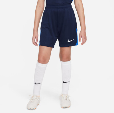 Nike Academy Pro Short