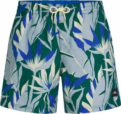 O'Neill Print Badeshorts O'Neill Print Badeshorts