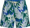 O'Neill Print Badeshorts