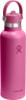 Hydro Flask 21 oz Standard Flex Straw Cap Thermosflasche