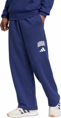 adidas M COLLEGIATE PT Pant