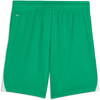 Puma teamLIGA26 Shorts Short 100%PES, dryCELL