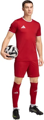 adidas Entrada 26 CLIMACOOL Trikot adidas Entrada 26 CLIMACOOL Trikot