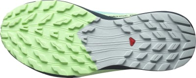 Salomon Sense Ride 5 GTX Traillaufschuhe
