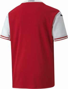Österreich Replica Heimtrikot