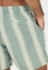 nou Enrique M Striped Badeshort