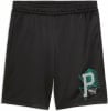 Puma Active Sports Poly Short