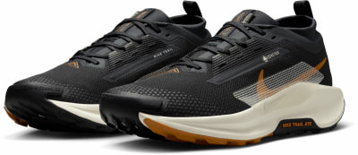 Nike Pegasus Trail 5 GTX Traillaufschuhe