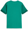 Puma teamGOAL Matchday FB-Trikot