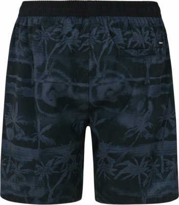 Protest Prtdelton Beachshorts