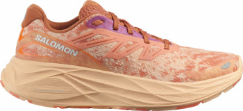 Salomon Aero Glide 2 Laufschuhe
