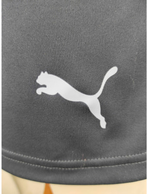 Puma IndividualFinal Trainingsshorts