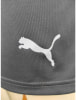 Puma IndividualFinal Trainingsshorts