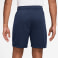 Jordan Sport Shorts