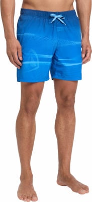 Firefly Lucio Badeshorts