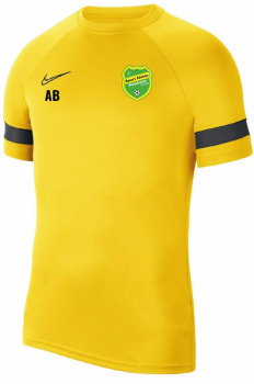 Nike Dri-Fit Academy 23 T-Shirt