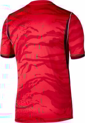 Nike Korea 2026 Heimtrikot Replica