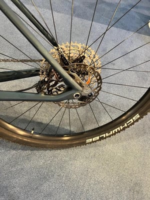 Hinterrad eines Mountainbikes mit Kassette und Scheibenbremse. Hinterrad eines Mountainbikes mit Kassette und Scheibenbremse.