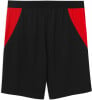 Puma ÖFB 2026 Fussballshorts Replica
