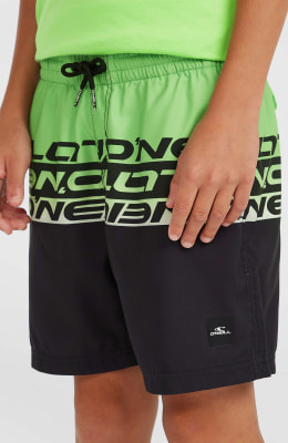 O'Neill Cali Stripe Badeshorts