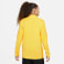 Dri-FIT Academy 23 Drill Sweater