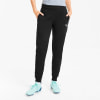 Puma teamGOAL 23 Casuals Fußball-Sweatpants