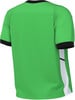 Grünes Kurzarmshirt mit schwarzem Kragen und Netzmuster.