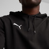Puma teamGOAL Casuals Hoodie