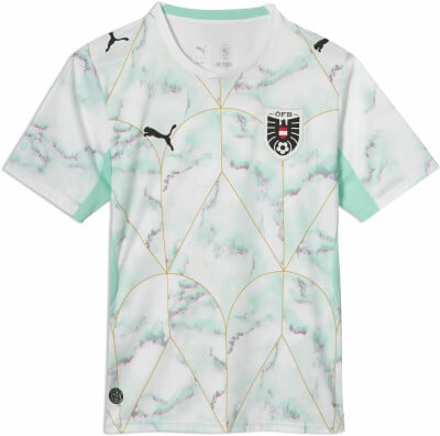 ÖFB 2026 Herren Auswärtstrikot Replica