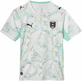 ÖFB 2026 Herren Auswärtstrikot Replica