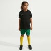 Nike Dri-FIT Park VIII Fußballtrikot