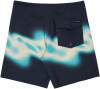 Quiksilver Surfsilk Badeshorts