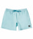 Deluxe 15 Badeshorts
