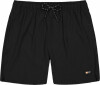 Barts Alroy Badeshorts