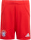 FC Bayern München 25/26 Shorts