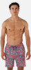 Barts Pego Shorts Badeshort