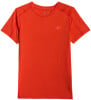 4F F1801 Dry Laufshort