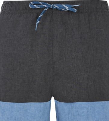 Protest Prtfreddie Beachshort