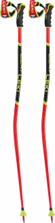 WCR GS 3D Skistöcke