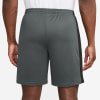 Nike Academy 23 Trainingsshorts